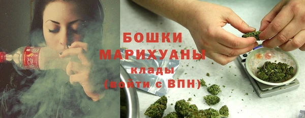 ешки Ельня