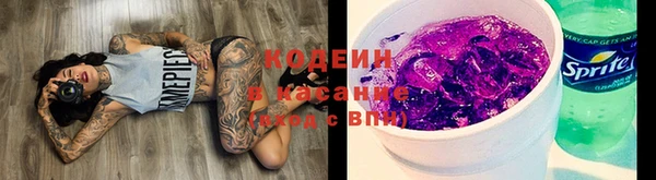 не бодяженный Дмитров