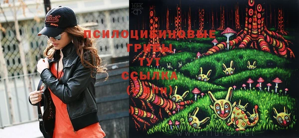 ешки Ельня