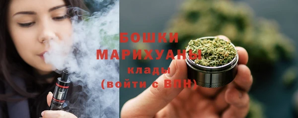 ешки Ельня
