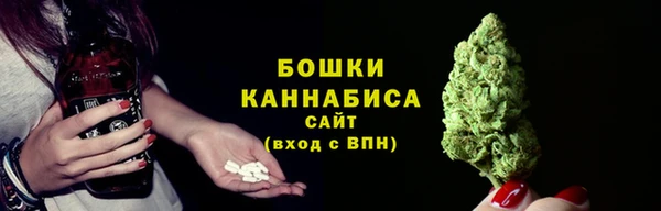 твердый Елизово