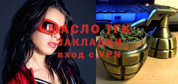 ешки Ельня
