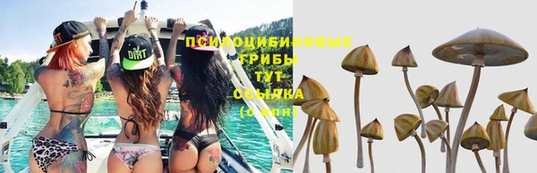 твердый Елизово
