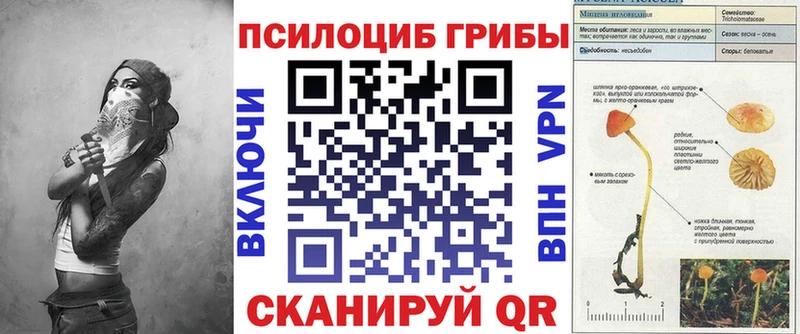 Галлюциногенные грибы Psilocybe  Среднеколымск 